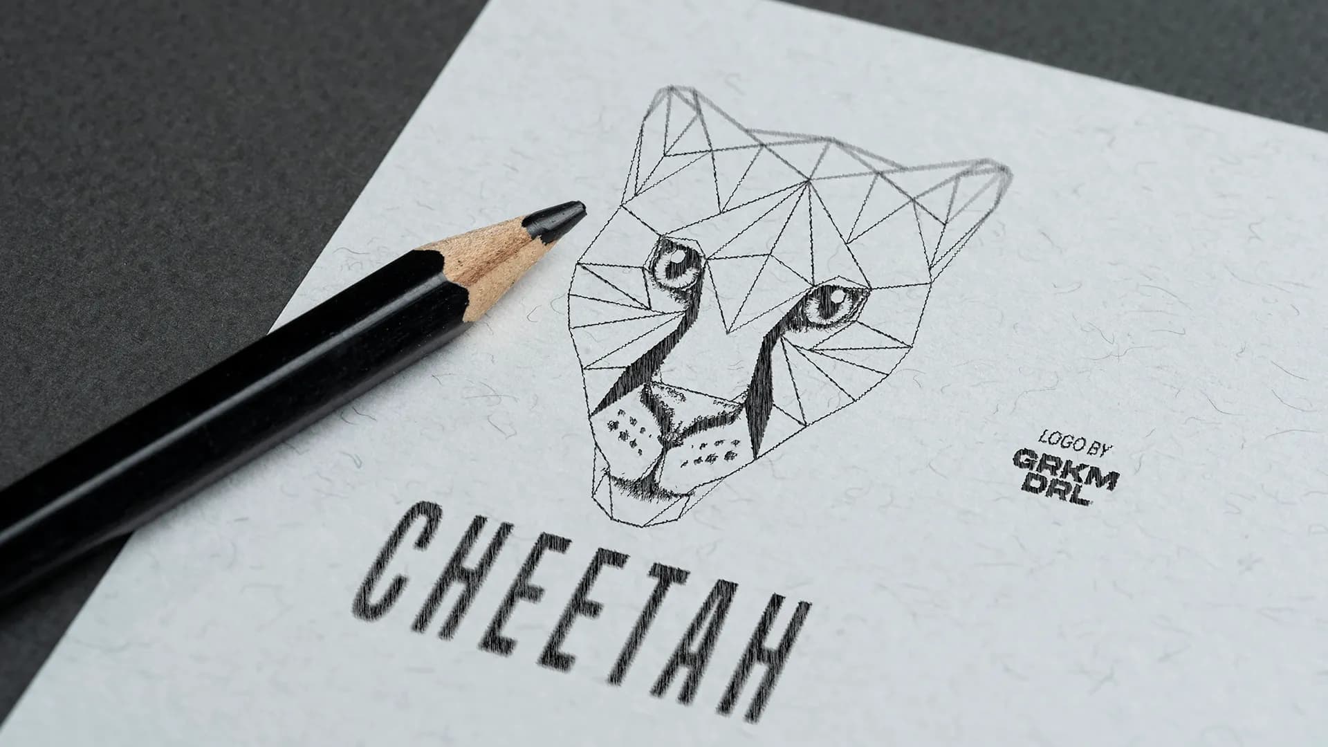 LOGO / LOGO TYPE — Logo / Logo Type